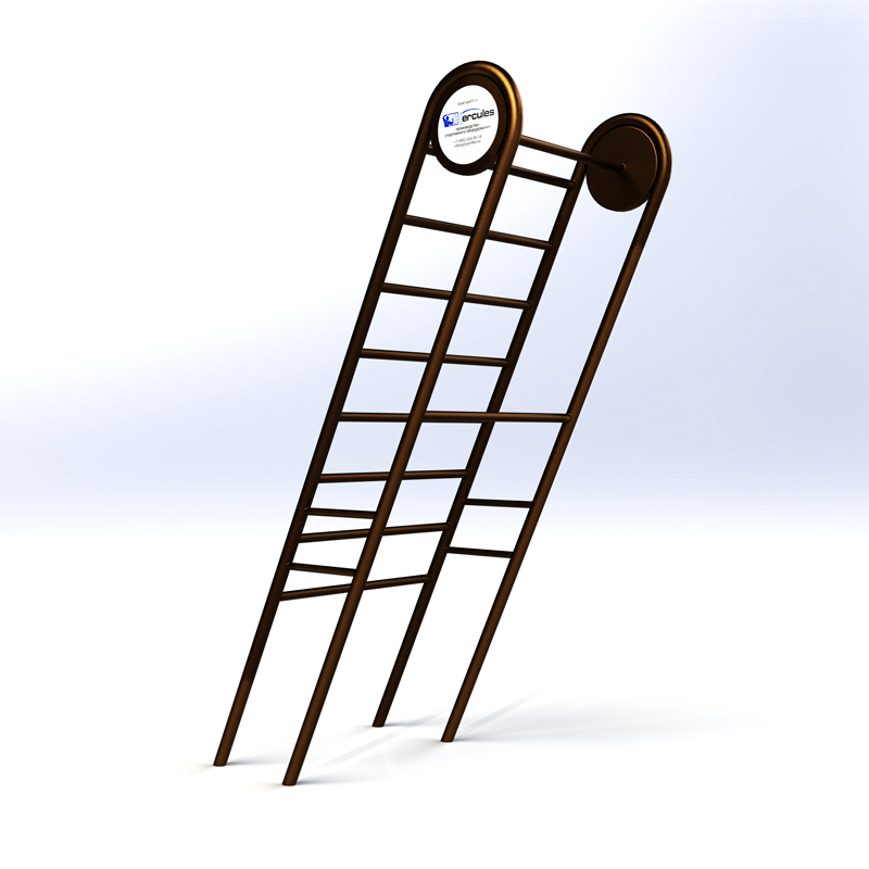 А-0099 Шведская лестница + турник