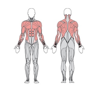 УТЭ-033П Балансир FLEX вертикальный