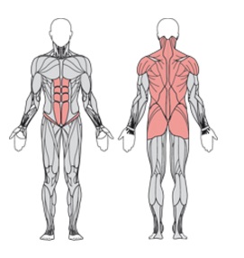 УТЭ-043П ТВИСТЕР СТОЯ И БАЛАНСИР СИДЯ ДВОЙНОЙ