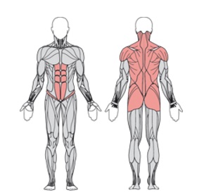 УТЭ-042П ТВИСТЕР СИДЯ ОДИНАРНЫЙ