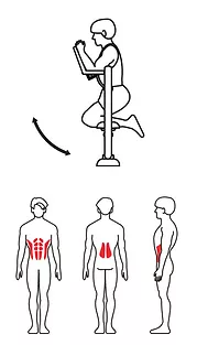ZOV-002 Тренажер для мышц спины и пресса