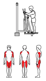 ZOV-011 Лыжник