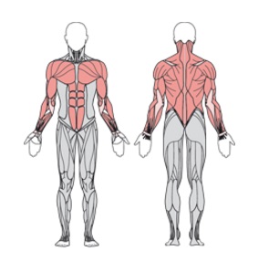 УТЭ-035П Упор для отжиманий
