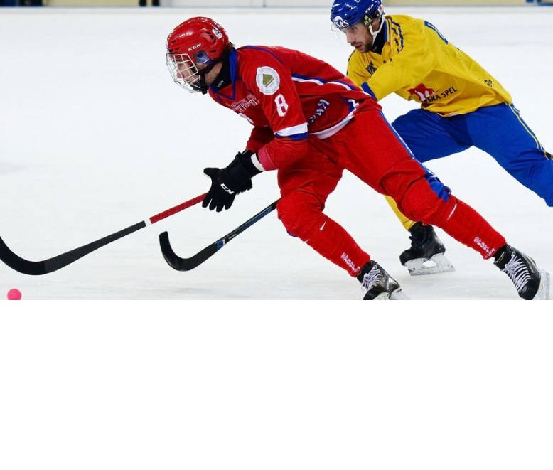 Хоккей с мячом: стандарты оборудования