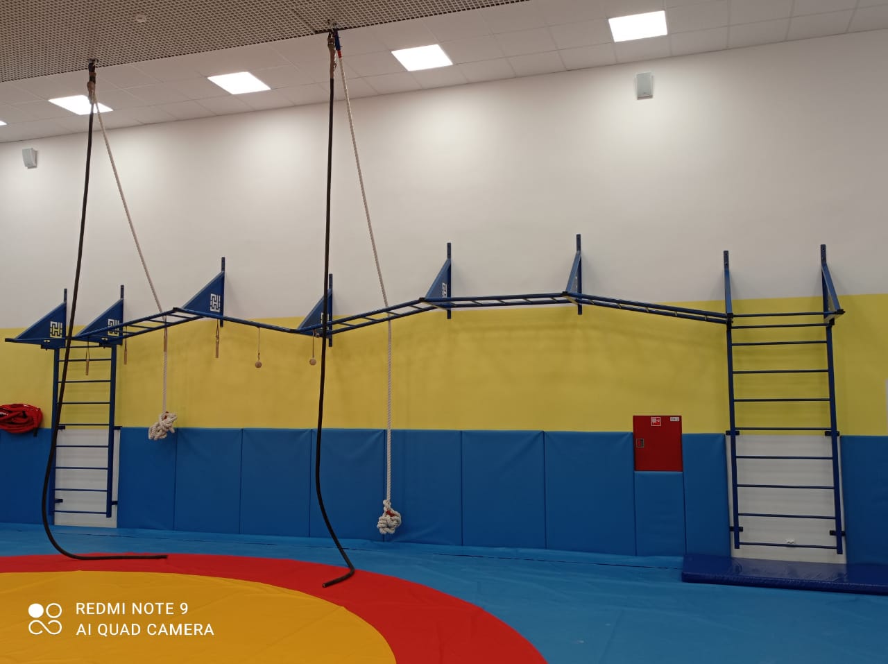 Рукоход настенный