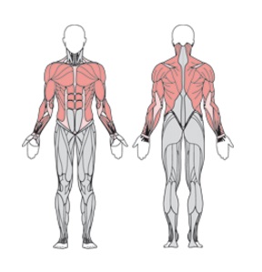 УТЭ-032П Балансир Flex горизонтальный