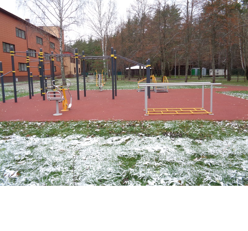 Брусья для отработки навыков ходьбы