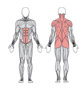 УТЭ-037П Твистер стоя двойной