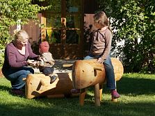 Домашние животные. Серия Ферма