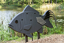 Природные парки: Рыбы